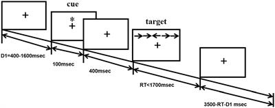 Attention impairment in patients with cervical dystonia: An attention network test study
